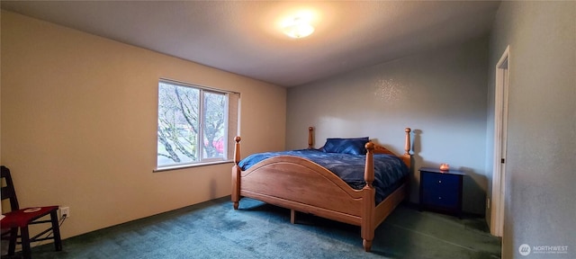 136 Mule Dr, Glenoma, WA 98336 - bedroom featuring carpet floors