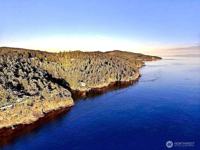drone / aerial view with a water view and a wooded view