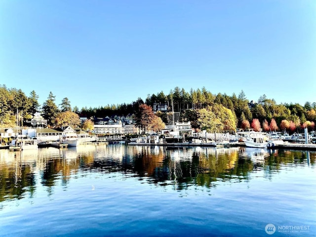 water view with a boat dock