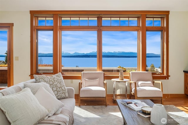 living area featuring wood finished floors, a water and mountain view, and plenty of natural light