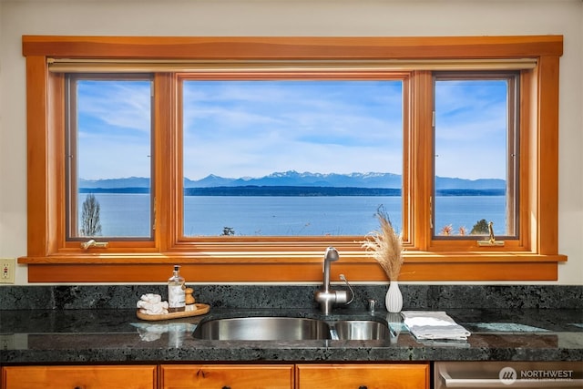 kitchen with a healthy amount of sunlight, a water and mountain view, a sink, and dishwashing machine