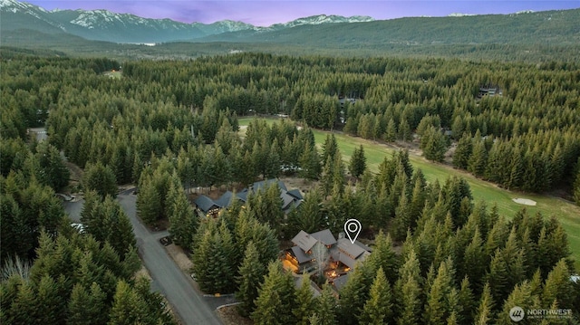 121 Hard Scrabble Ln, Cle Elum, WA 98922 - aerial view of a forest and mountains
