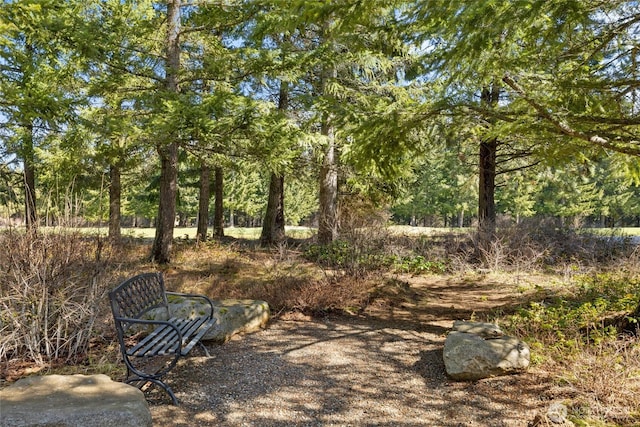 121 Hard Scrabble Ln, Cle Elum, WA 98922 - view of yard