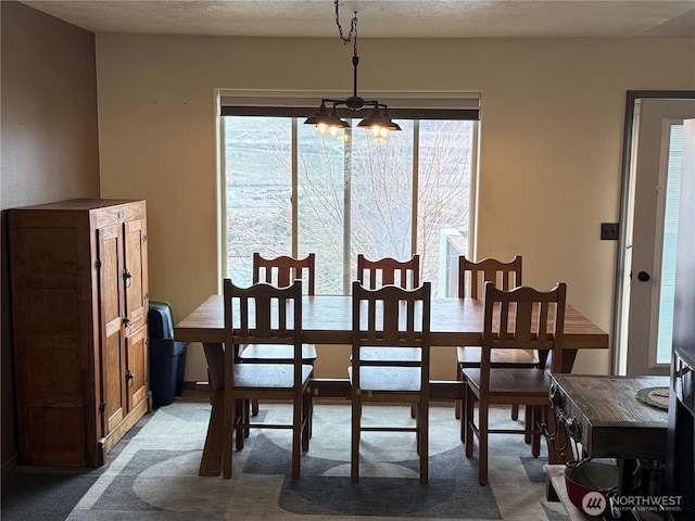 dining room featuring carpet