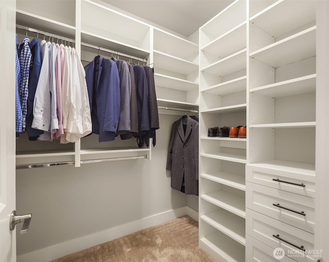 1497 Elk Run Pl SE, North Bend, WA 98045 - walk in closet featuring carpet