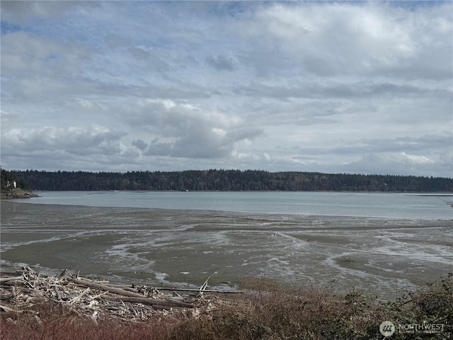 13574 S Green St, Anacortes, WA 98221 - water view featuring a forest view