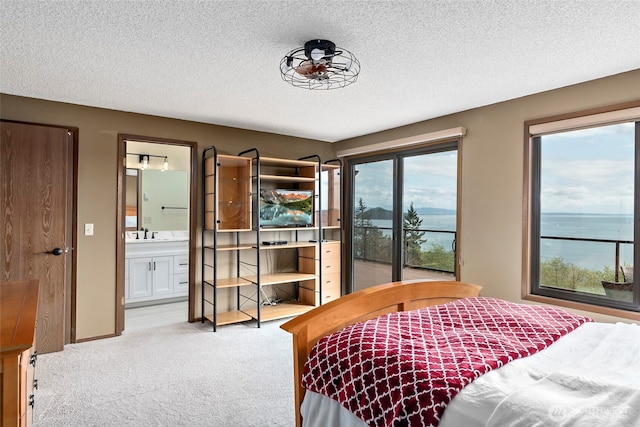 bedroom featuring light colored carpet, multiple windows, and a textured ceiling