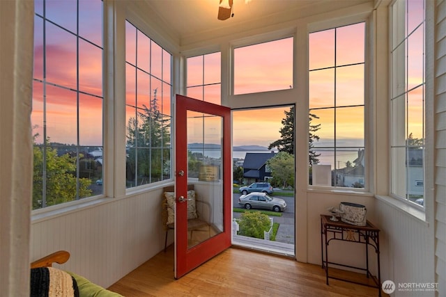entryway with a wealth of natural light and wood finished floors