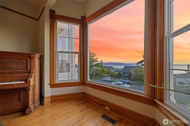 room details featuring visible vents, wood finished floors, and baseboards
