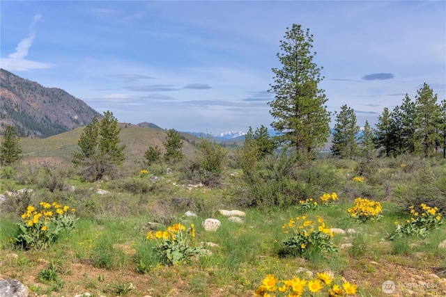 property view of mountains