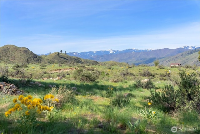 view of mountain feature