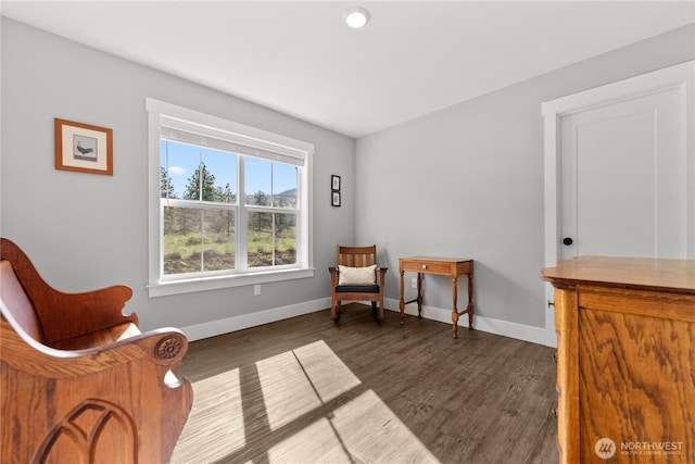 living area featuring baseboards and dark wood-style floors