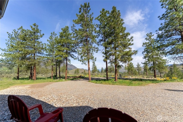 view of yard featuring a mountain view