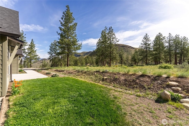 view of yard featuring a mountain view