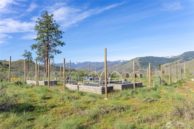 view of mountain feature