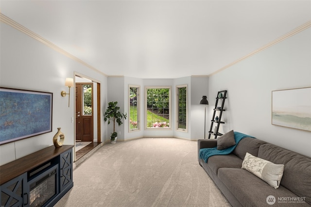 4381 239th Pl SE, Sammamish, WA 98029 - living area with crown molding, carpet, and baseboards