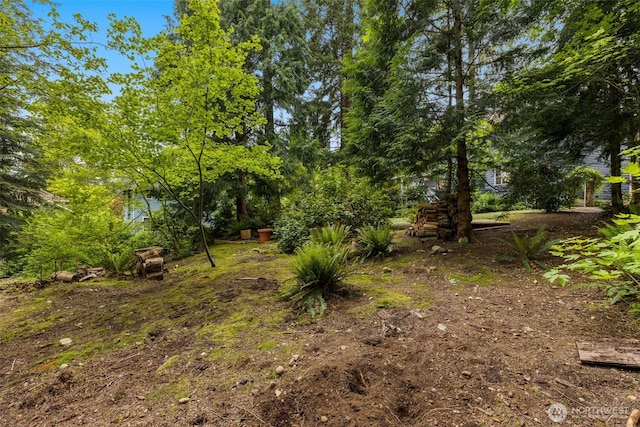 4381 239th Pl SE, Sammamish, WA 98029 - view of yard