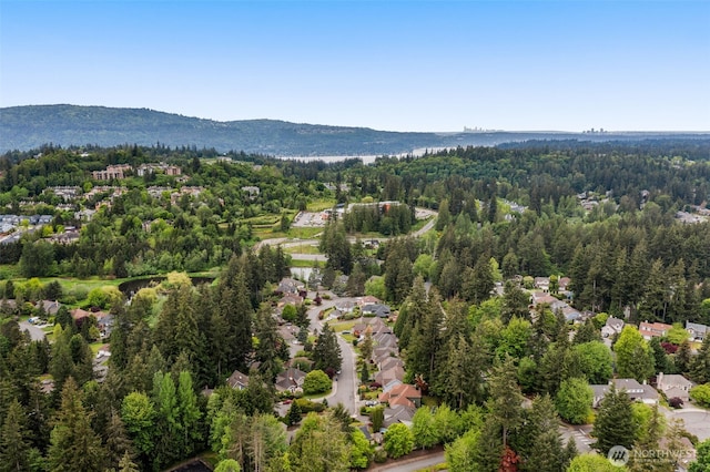 4381 239th Pl SE, Sammamish, WA 98029 - bird's eye view of a forest and a mountain backdrop