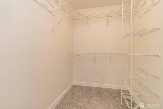 walk in closet with light carpet