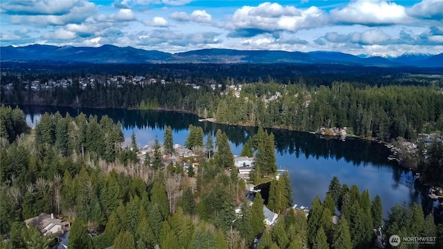 property view of water featuring a mountain view and a forest view