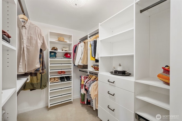 walk in closet featuring light carpet