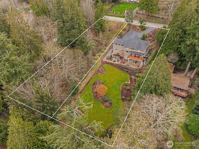 bird's eye view