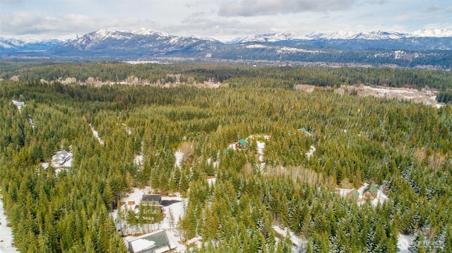 aerial view featuring a mountain view and a wooded view