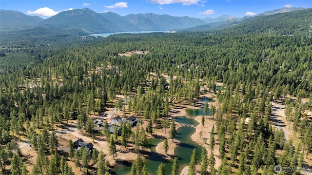 581 Wanawish Loop, Cle Elum, WA 98922 - drone / aerial view of a heavily wooded area and a water and mountain view
