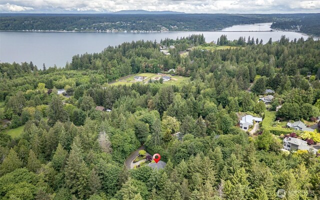 11003 68th Ave NW, Gig Harbor, WA 98332 - photo 38