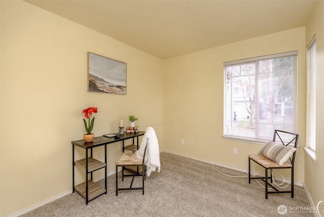 carpeted home office featuring baseboards
