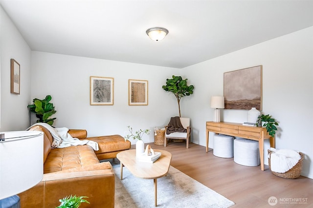 1512 Alder Ln, Gold Bar, WA 98251 - living room with wood finished floors