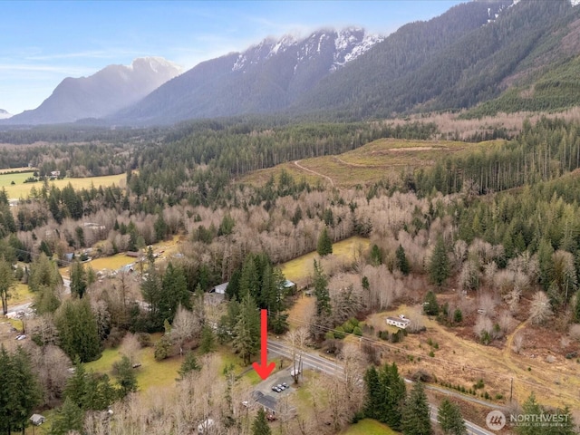 birds eye view of property with a mountain view and a view of trees