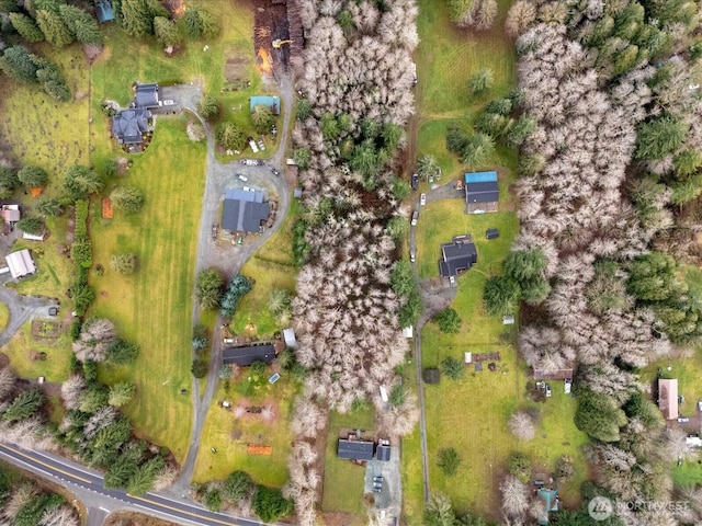 drone / aerial view