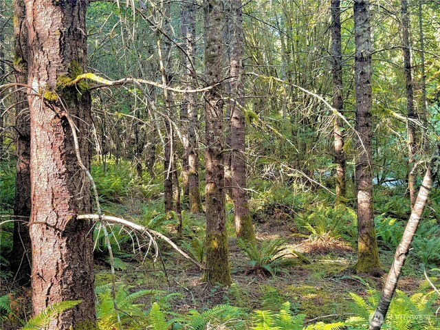 Listing photo 2 for 5503 Lackey Ct NW, Vaughn WA 98394
