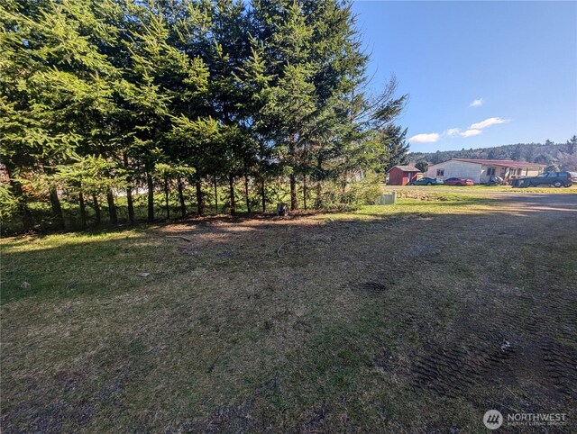 1141 Hoh Ave, Forks, WA 98331