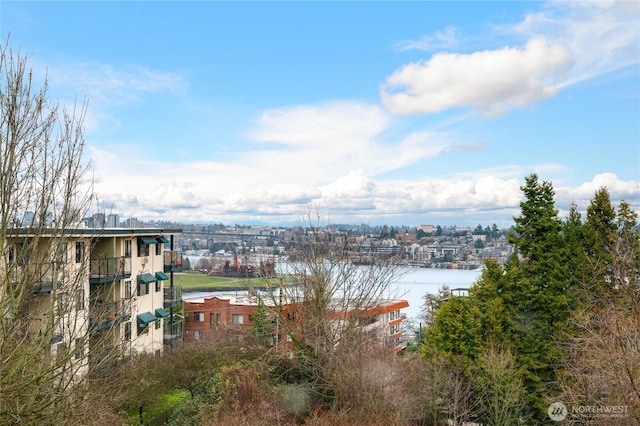 property view of water