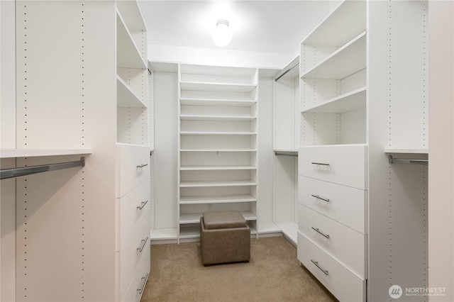 spacious closet with light colored carpet