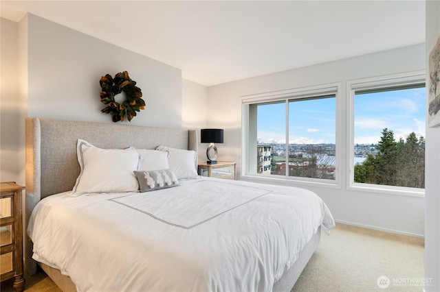 bedroom featuring baseboards and carpet floors