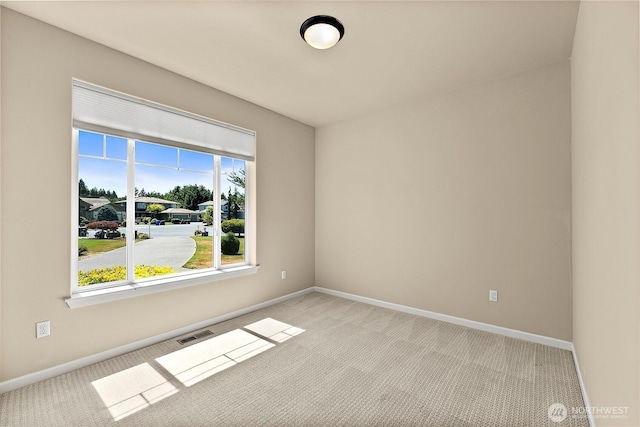 4738 Tenby Ln SE, Olympia, WA 98513 - photo 19