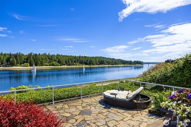 17884 S Angeline Ave NE, Suquamish, WA 98392 - water view featuring a forest