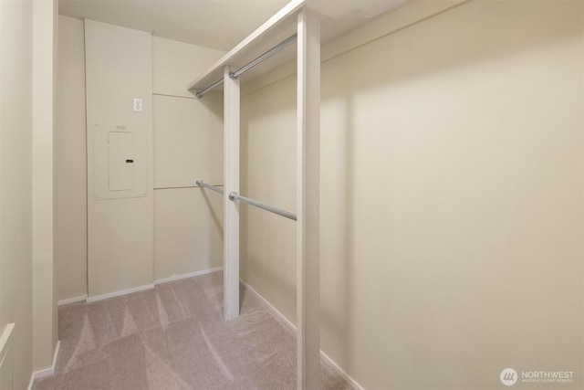 spacious closet featuring carpet floors