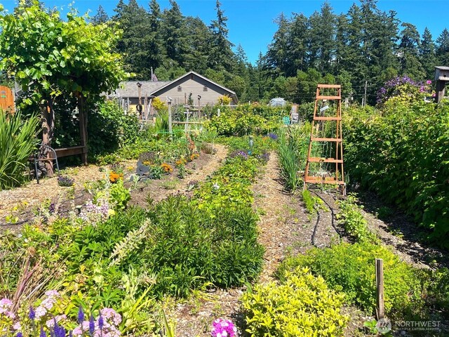 Listing photo 3 for 12502 93rd Street Ct, Anderson Island WA 98303