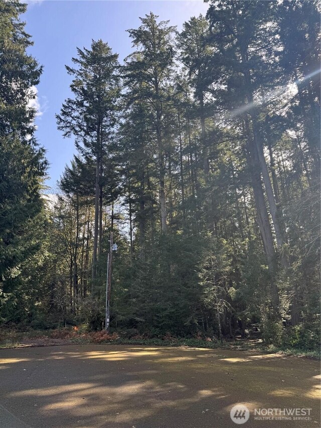 12502 93rd Street Ct, Anderson Island WA, 98303 land for sale