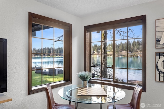 dining area featuring a wealth of natural light, a water view, a textured wall, and a textured ceiling