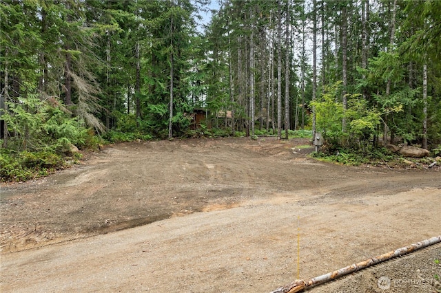 1291 N Potlatch Rd, Hoodsport, WA 98548 - photo 2