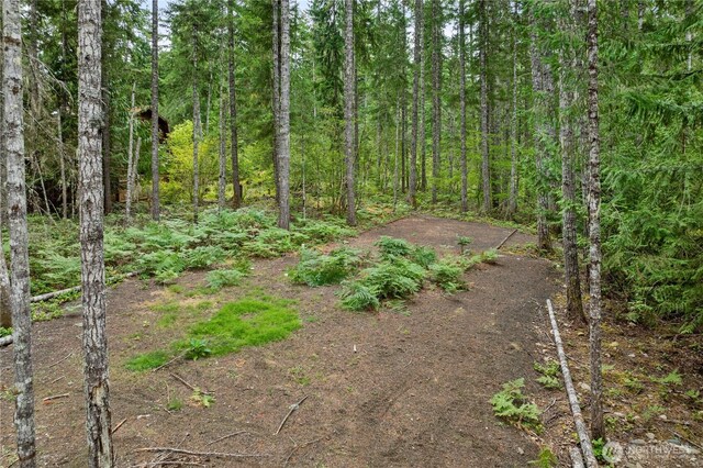 1291 N Potlatch Rd, Hoodsport, WA 98548 - photo 3