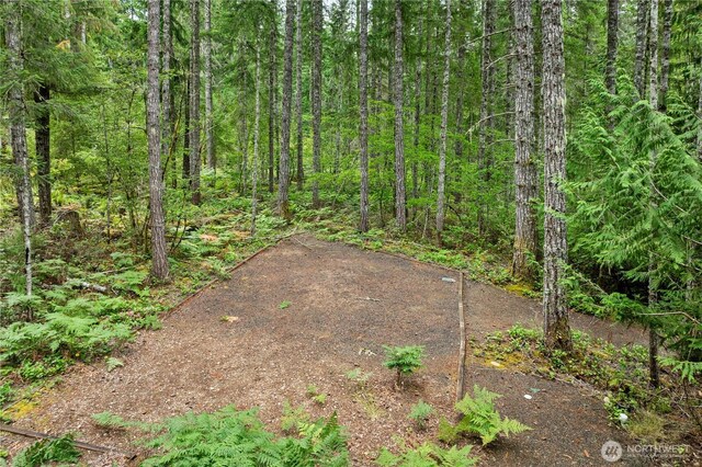1291 N Potlatch Rd, Hoodsport, WA 98548 - photo 4