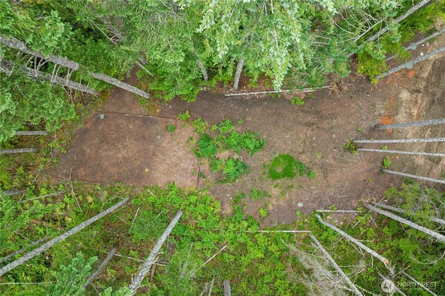 1291 N Potlatch Rd, Hoodsport, WA 98548 - photo 5