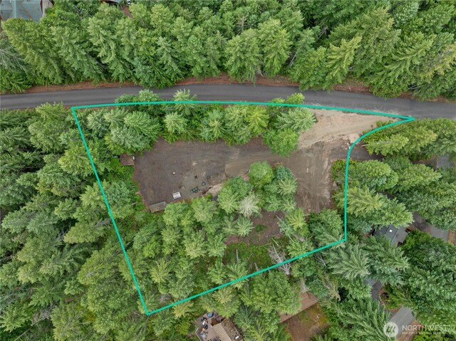 1291 N Potlatch Rd, Hoodsport, WA 98548 - photo 6