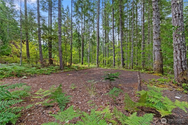 1291 N Potlatch Rd, Hoodsport, WA 98548 - photo 20